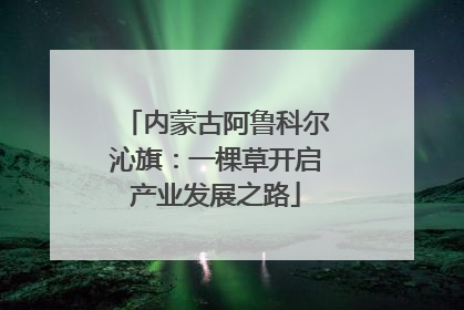 内蒙古阿鲁科尔沁旗：一棵草开启产业发展之路