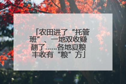 农田进了“托管班”、一地双收赚翻了……各地夏粮丰收有“粮”方