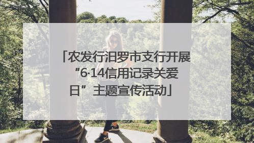 农发行汨罗市支行开展“6·14信用记录关爱日”主题宣传活动