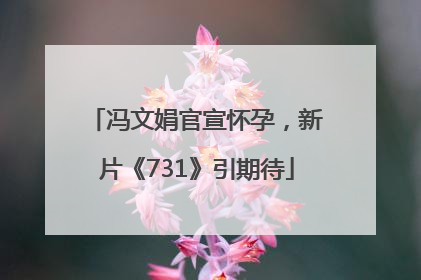 冯文娟官宣怀孕，新片《731》引期待