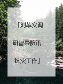 刘革安调研督导防汛抗灾工作