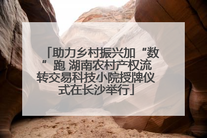 助力乡村振兴加“数”跑 湖南农村产权流转交易科技小院授牌仪式在长沙举行