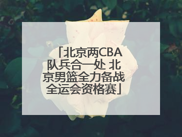 北京两CBA队兵合一处 北京男篮全力备战全运会资格赛