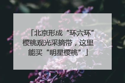 北京形成“环六环”樱桃观光采摘带，这里能买“明星樱桃”