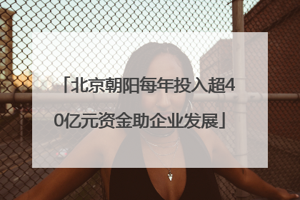 北京朝阳每年投入超40亿元资金助企业发展