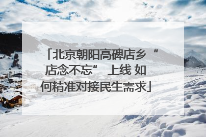 北京朝阳高碑店乡“店念不忘” 上线 如何精准对接民生需求