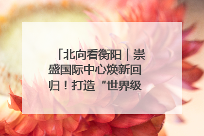 北向看衡阳｜崇盛国际中心焕新回归！打造“世界级美食主题公园”