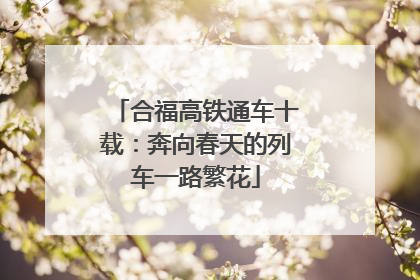 合福高铁通车十载：奔向春天的列车一路繁花