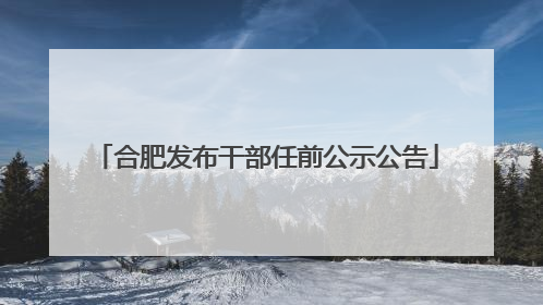 合肥发布干部任前公示公告