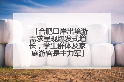 合肥口岸出境游需求呈现爆发式增长，学生群体及家庭游客是主力军