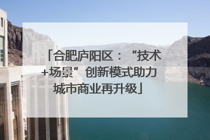合肥庐阳区：“技术+场景”创新模式助力城市商业再升级