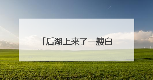后湖上来了一艘白色“飞碟”？周六首航，45元打卡后湖泛舟新体验