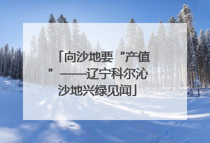 向沙地要“产值”——辽宁科尔沁沙地兴绿见闻