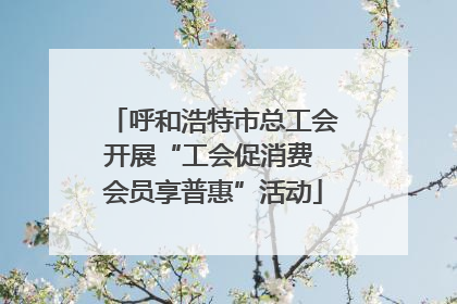 呼和浩特市总工会开展“工会促消费 会员享普惠”活动