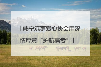 咸宁筑梦爱心协会用深情厚意“护航高考”