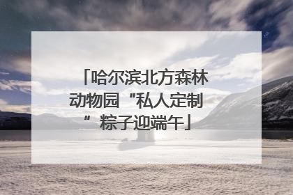 哈尔滨北方森林动物园“私人定制”粽子迎端午