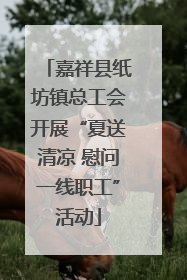 嘉祥县纸坊镇总工会开展“夏送清凉 慰问一线职工”活动