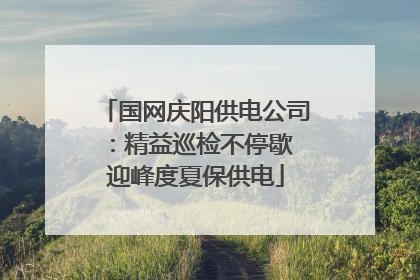 国网庆阳供电公司：精益巡检不停歇 迎峰度夏保供电