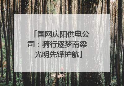 国网庆阳供电公司：骑行逐梦南梁 光明先锋护航