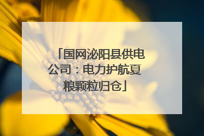 国网泌阳县供电公司：电力护航夏粮颗粒归仓