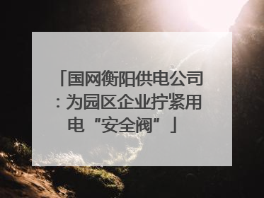 国网衡阳供电公司：为园区企业拧紧用电“安全阀”