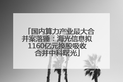 国内算力产业最大合并案落锤:海光信息拟1160亿元换股吸收合并中科曙光