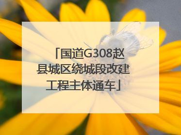 国道G308赵县城区绕城段改建工程主体通车