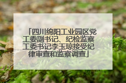四川绵阳工业园区党工委副书记、纪检监察工委书记李玉琼接受纪律审查和监察调查