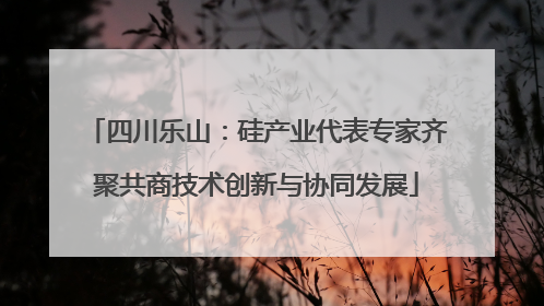 四川乐山：硅产业代表专家齐聚共商技术创新与协同发展