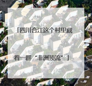四川合江这个村里藏着一群“非洲顶流”