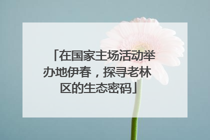 在国家主场活动举办地伊春，探寻老林区的生态密码