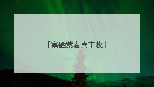 富硒紫麦喜丰收