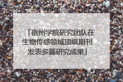 宿州学院研究团队在生物传感领域顶级期刊发表多篇研究成果