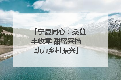 宁夏同心：桑葚丰收季 甜蜜采摘助力乡村振兴