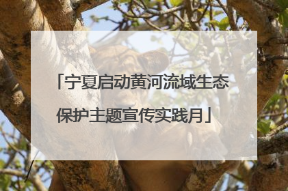 宁夏启动黄河流域生态保护主题宣传实践月