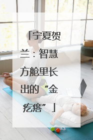宁夏贺兰：智慧方舱里长出的“金疙瘩”