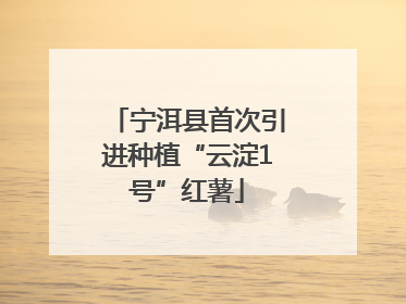 宁洱县首次引进种植“云淀1号”红薯