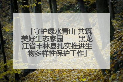 守护绿水青山 共筑美好生态家园——黑龙江省丰林县扎实推进生物多样性保护工作