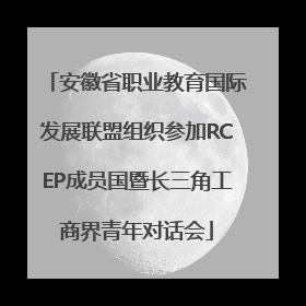 安徽省职业教育国际发展联盟组织参加RCEP成员国暨长三角工商界青年对话会