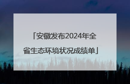 安徽发布2024年全省生态环境状况成绩单