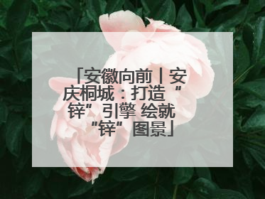 安徽向前丨安庆桐城：打造“锌”引擎 绘就“锌”图景