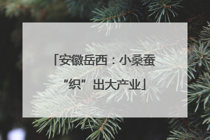 安徽岳西：小桑蚕“织”出大产业