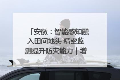 安徽：智能感知融入田间地头 精密监测提升防灾能力｜增发国债气象项目落地见效系列报道