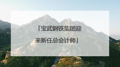 宝武钢铁集团迎来新任总会计师