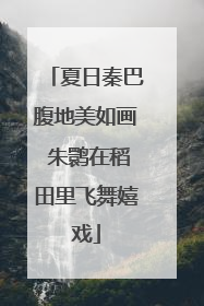 夏日秦巴腹地美如画 朱鹮在稻田里飞舞嬉戏