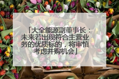 大全能源副董事长：未来若出现符合主营业务的优质标的，将审慎考虑并购机会