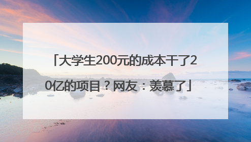 大学生200元的成本干了20亿的项目？网友：羡慕了