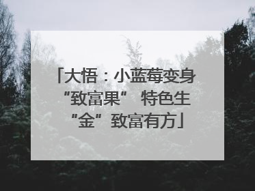 大悟：小蓝莓变身“致富果” 特色生“金”致富有方