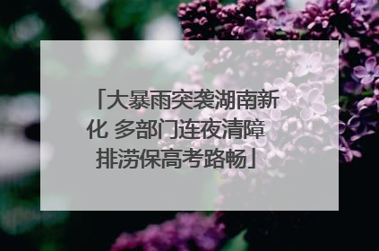 大暴雨突袭湖南新化 多部门连夜清障排涝保高考路畅