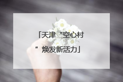 天津“空心村”焕发新活力